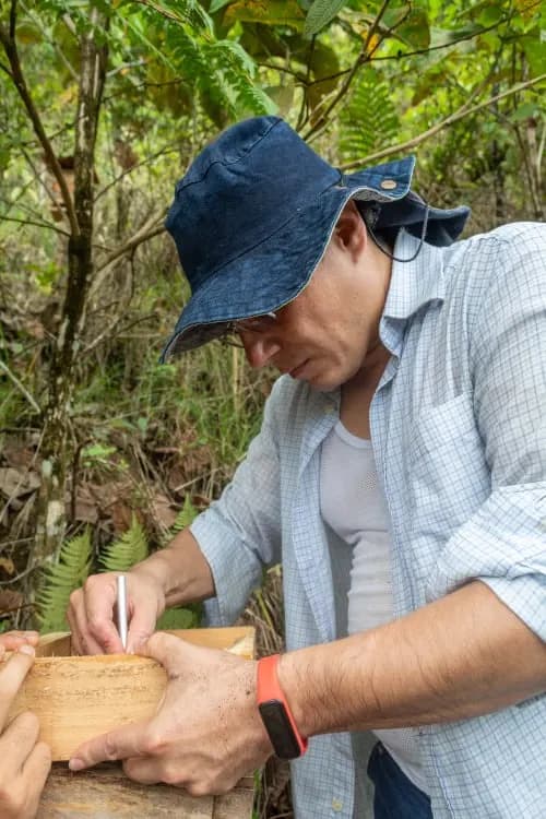 Trabajo artesanal con colmenas de abejas nativas