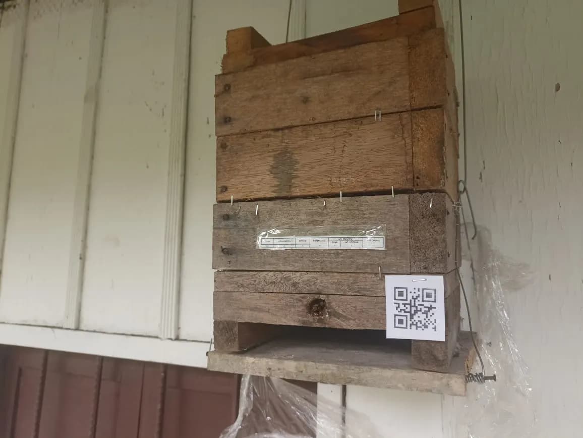 Sistema de trazabilidad con código QR en colmena