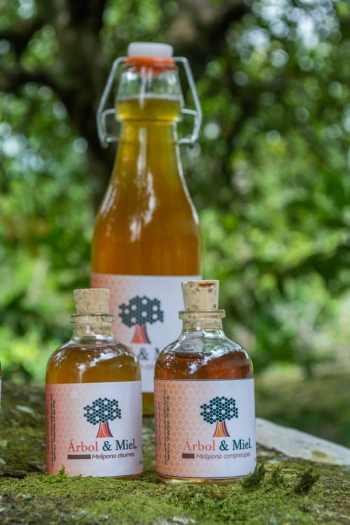 Miel de Melipona compressipes